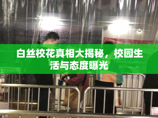 白丝校花真相大揭秘，校园生活与态度曝光