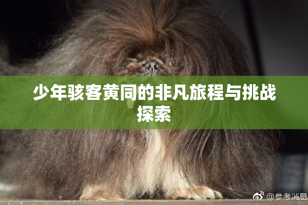 少年骇客黄同的非凡旅程与挑战探索
