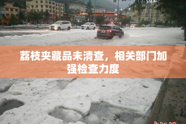 荔枝夹藏品未清查，相关部门加强检查力度