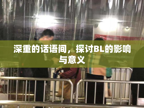 深重的话语间，探讨BL的影响与意义