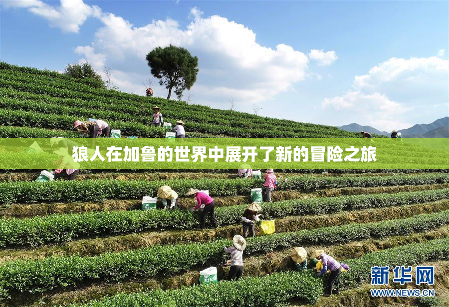 狼人在加鲁的世界中展开了新的冒险之旅