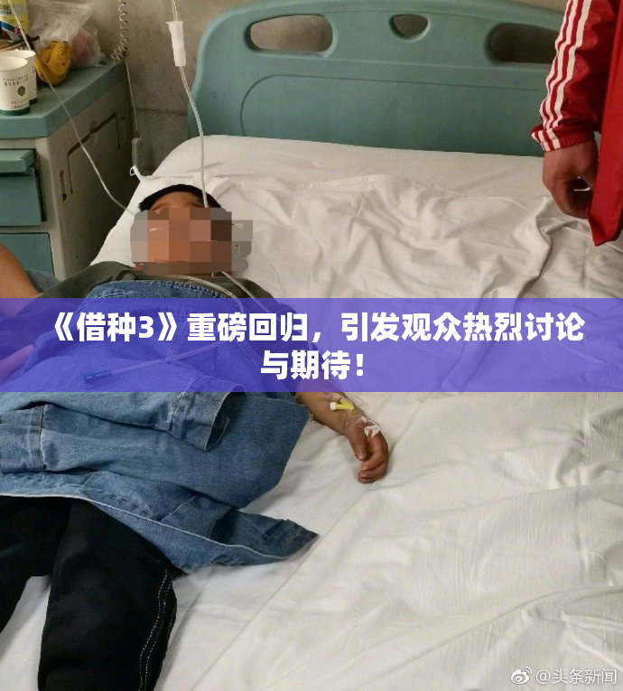 《借种3》重磅回归，引发观众热烈讨论与期待！