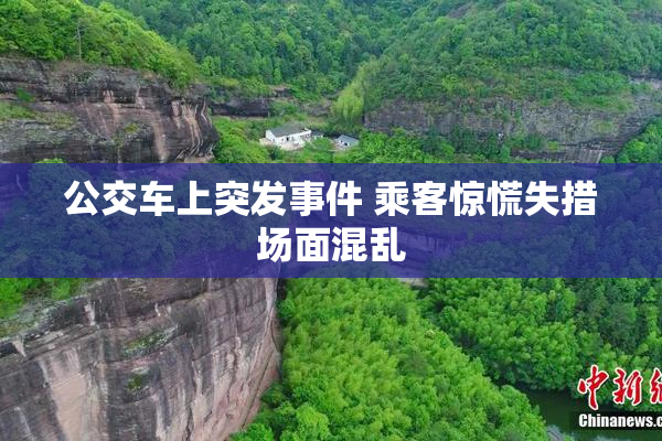 公交车上突发事件 乘客惊慌失措场面混乱