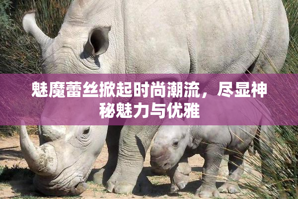 魅魔蕾丝掀起时尚潮流，尽显神秘魅力与优雅