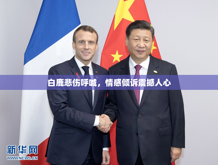 白鹿悲伤呼喊，情感倾诉震撼人心