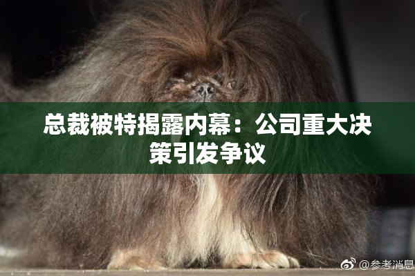 总裁被特揭露内幕：公司重大决策引发争议