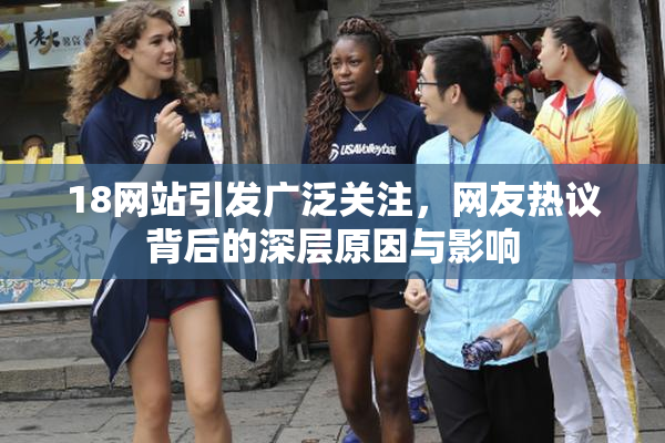 18网站引发广泛关注，网友热议背后的深层原因与影响