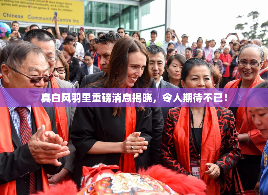 真白风羽里重磅消息揭晓，令人期待不已！