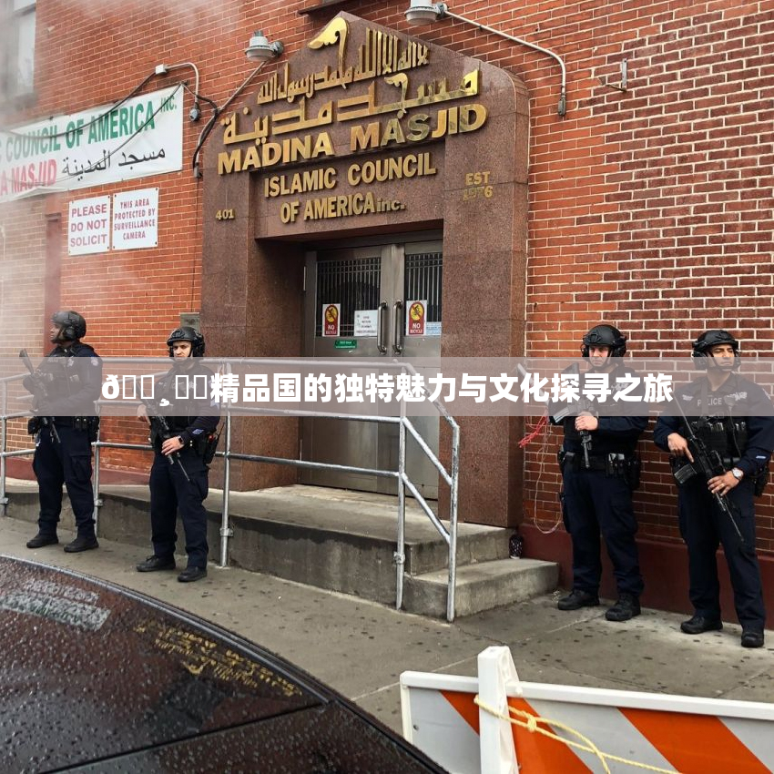 🌸‌✿精品国的独特魅力与文化探寻之旅
