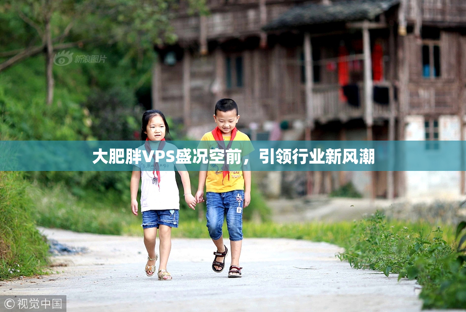 大肥胖VPS盛况空前，引领行业新风潮