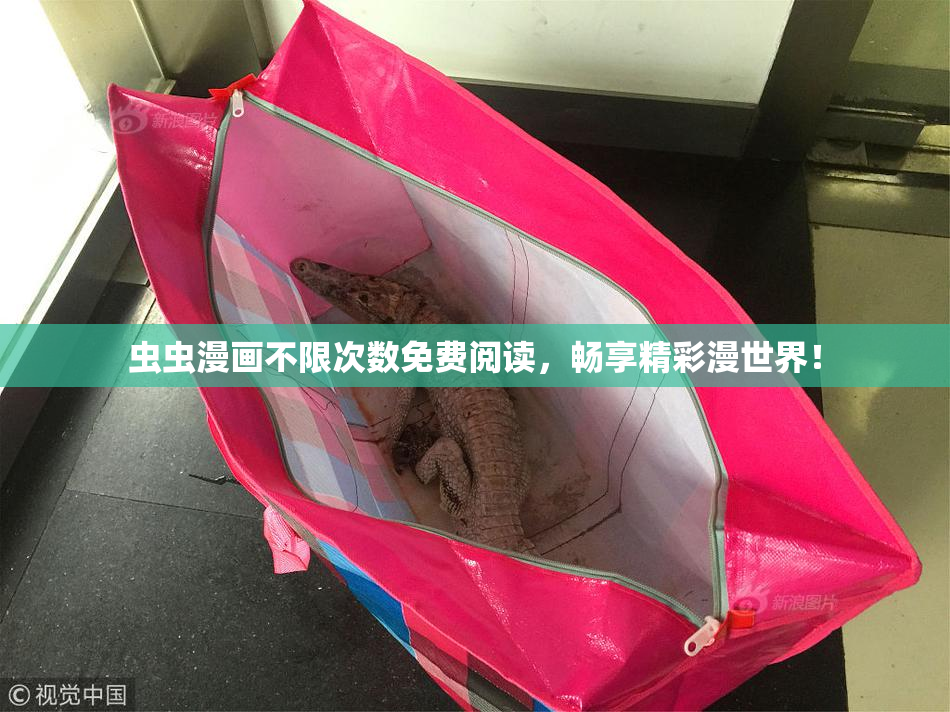 虫虫漫画不限次数免费阅读，畅享精彩漫世界！