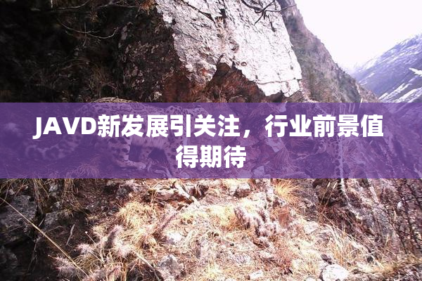 JAVD新发展引关注，行业前景值得期待