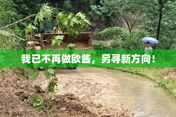 我已不再做欧酱，另寻新方向！