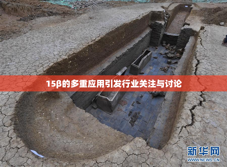 15β的多重应用引发行业关注与讨论