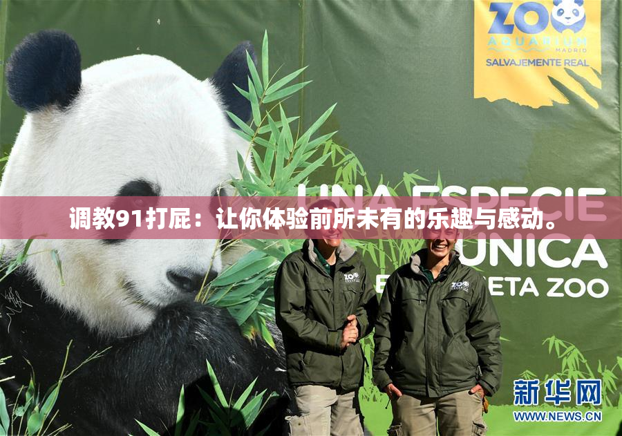 调教91打屁：让你体验前所未有的乐趣与感动。