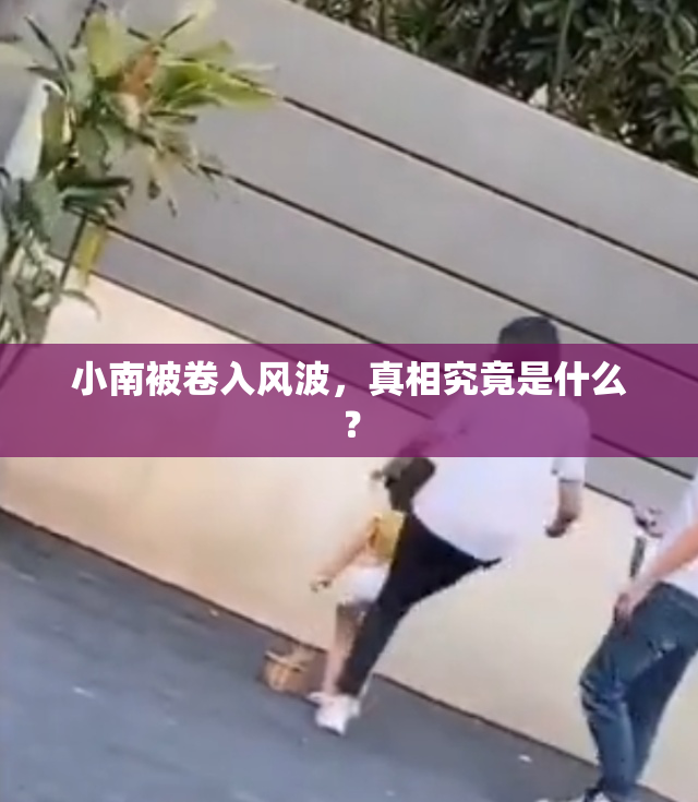 小南被卷入风波，真相究竟是什么？