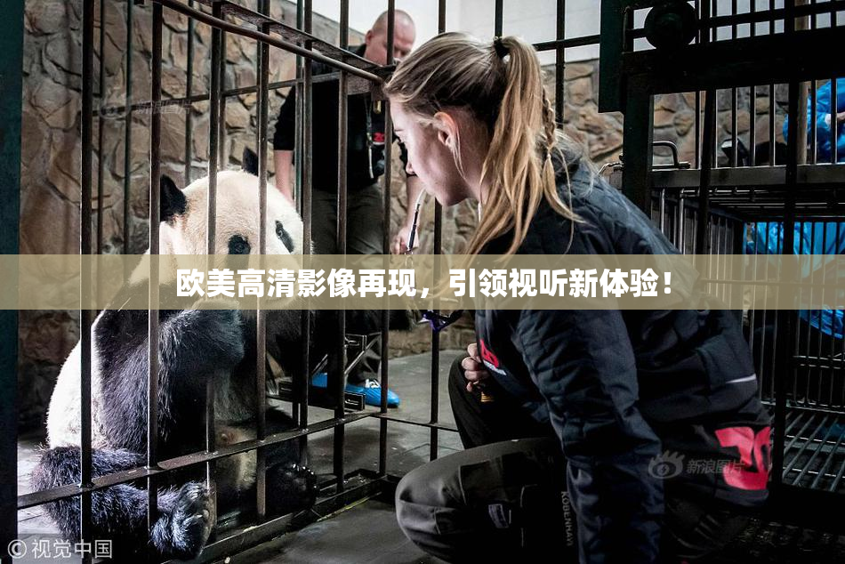 欧美高清影像再现，引领视听新体验！