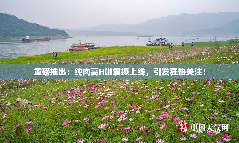 重磅推出：纯肉高H啪震撼上线，引发狂热关注！