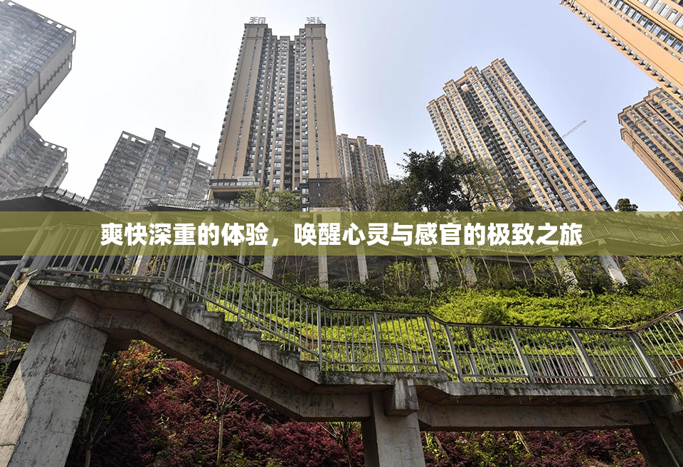 爽快深重的体验，唤醒心灵与感官的极致之旅