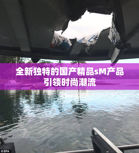 全新独特的国产精品sM产品引领时尚潮流