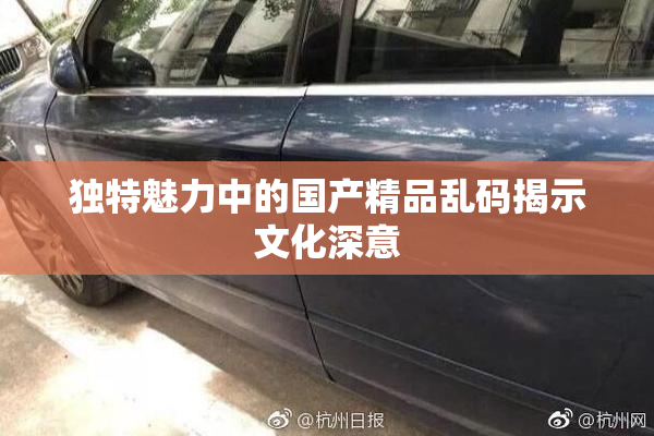 独特魅力中的国产精品乱码揭示文化深意