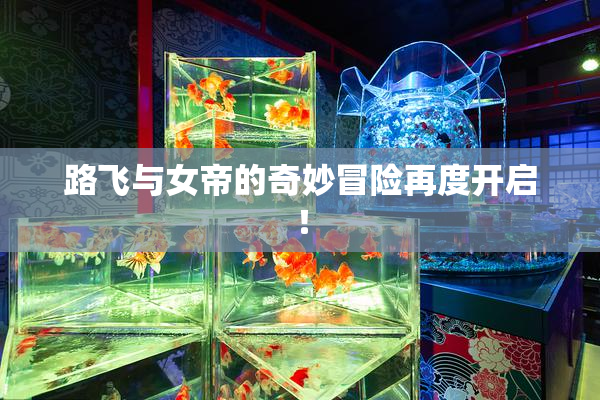 路飞与女帝的奇妙冒险再度开启！