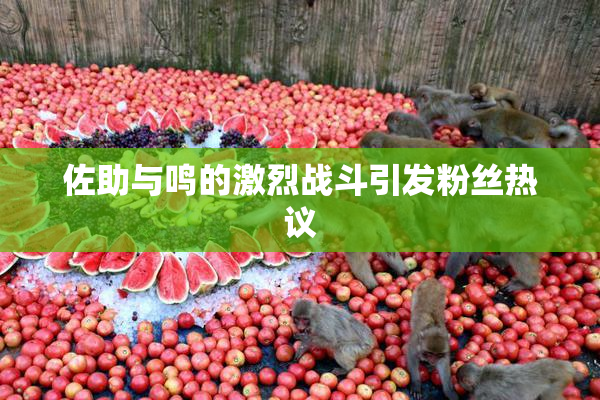 佐助与鸣的激烈战斗引发粉丝热议