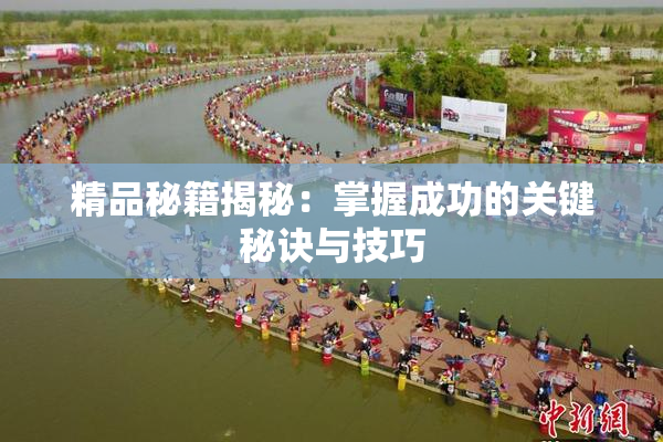 精品秘籍揭秘：掌握成功的关键秘诀与技巧