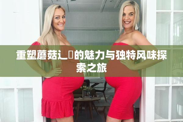 重塑蘑菇辶喿的魅力与独特风味探索之旅