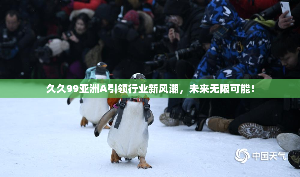 久久99亚洲A引领行业新风潮，未来无限可能！