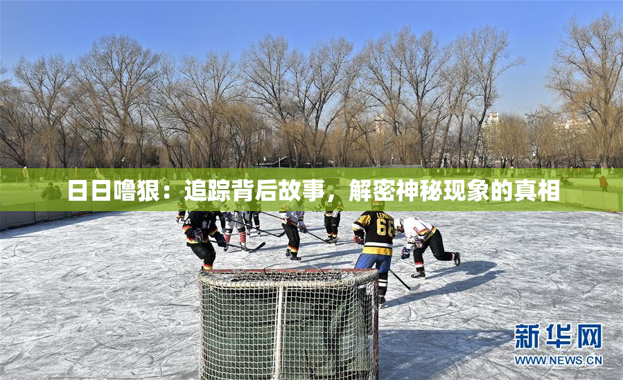 日日噜狠：追踪背后故事，解密神秘现象的真相