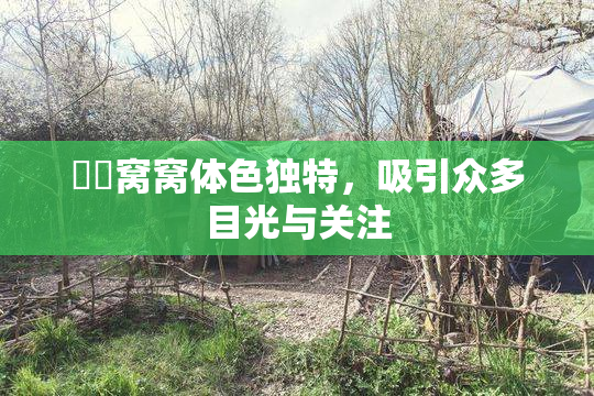 妺妺窝窝体色独特，吸引众多目光与关注