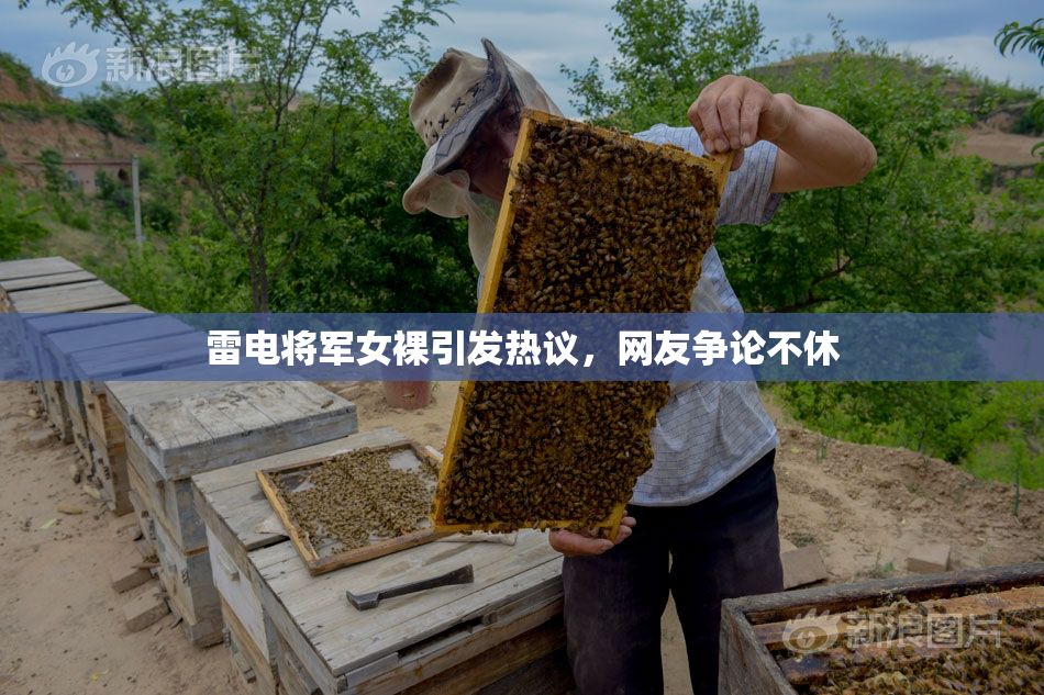 雷电将军女裸引发热议，网友争论不休