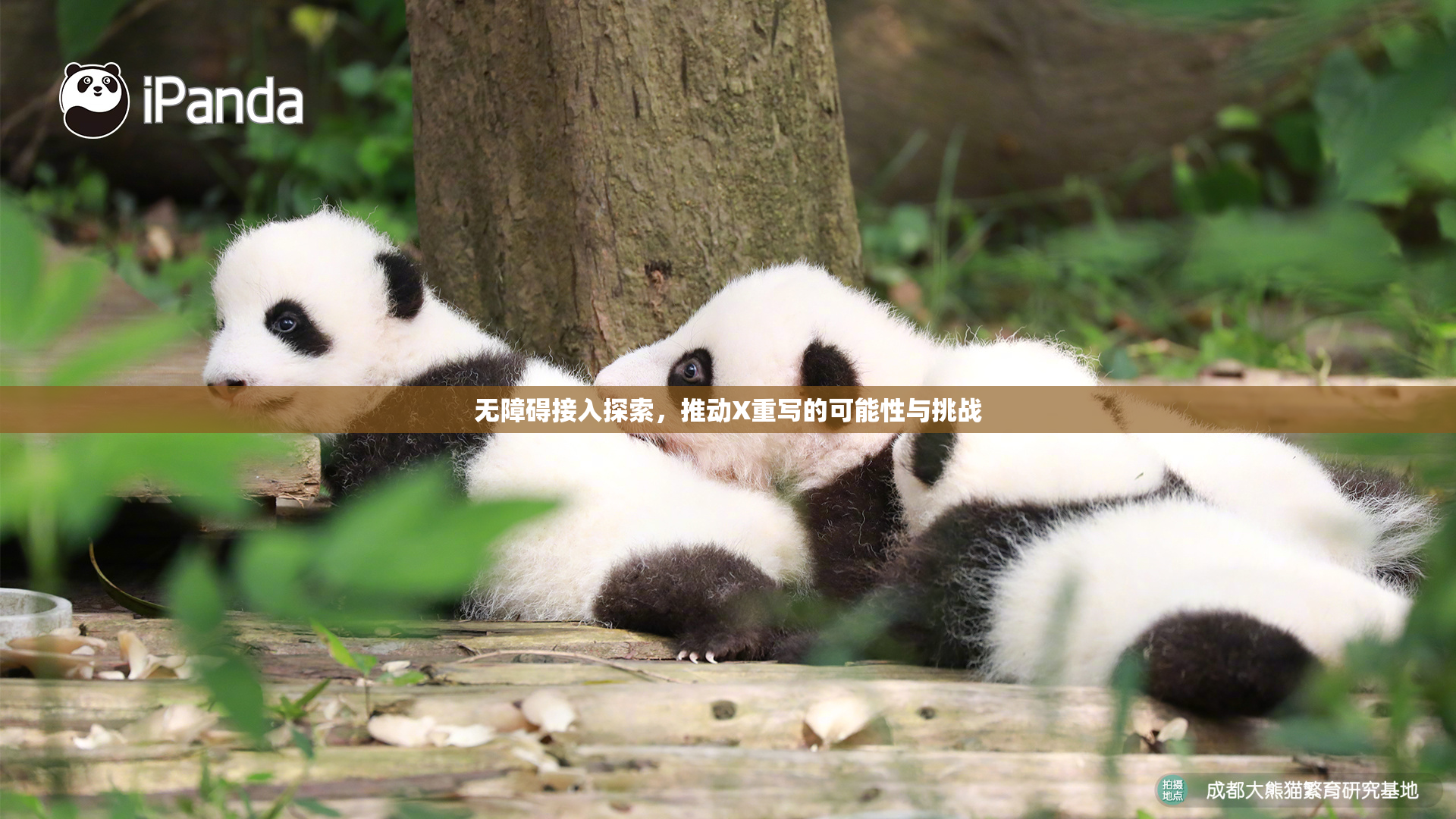 无障碍接入探索，推动X重写的可能性与挑战