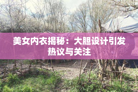 美女内衣揭秘：大胆设计引发热议与关注