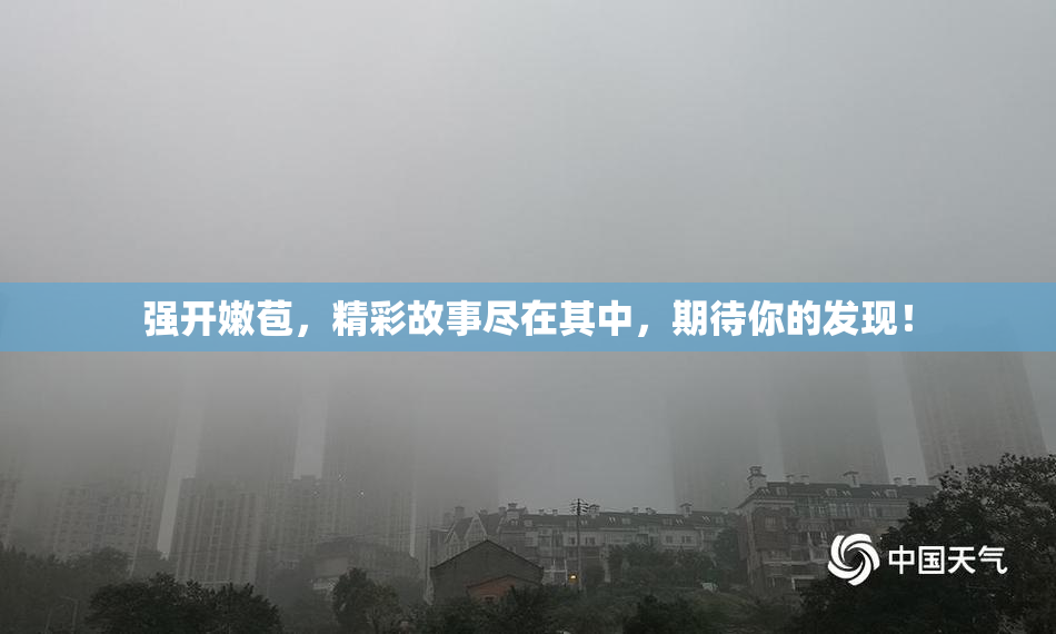 强开嫩苞，精彩故事尽在其中，期待你的发现！