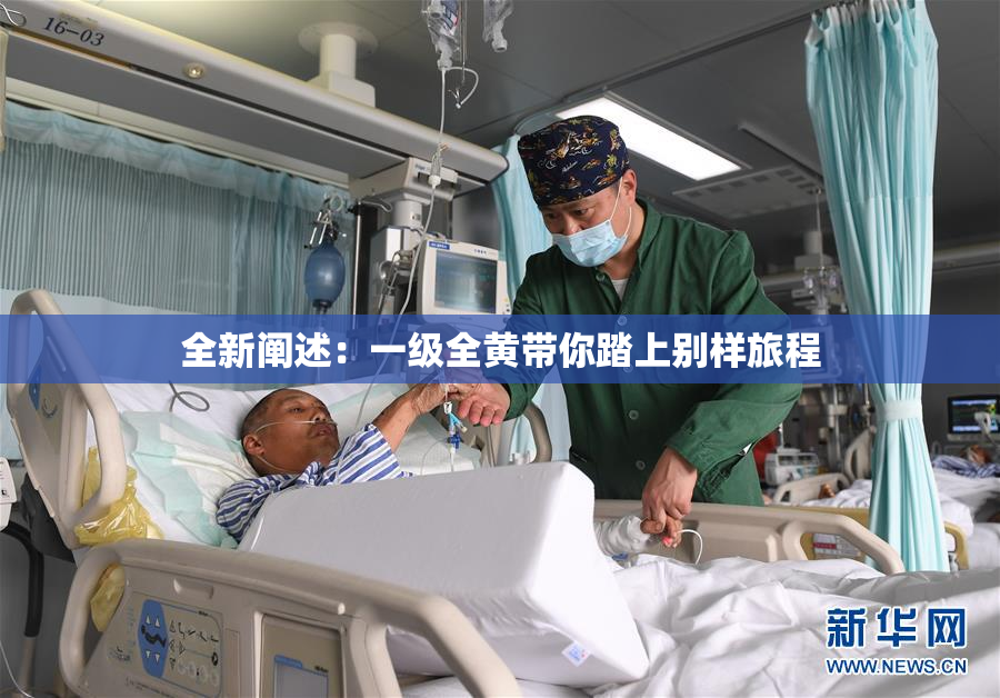 全新阐述：一级全黄带你踏上别样旅程