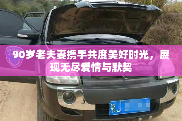 90岁老夫妻携手共度美好时光，展现无尽爱情与默契