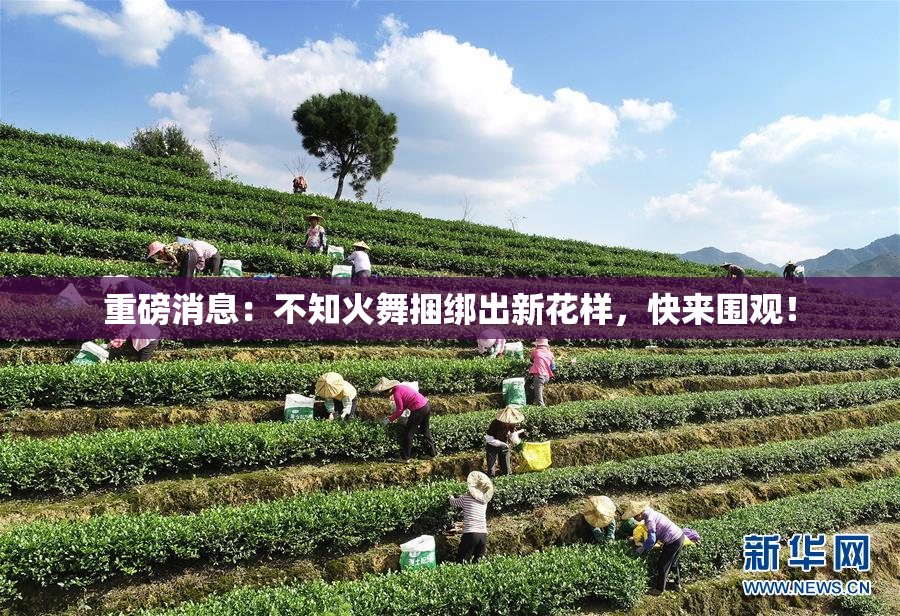 重磅消息：不知火舞捆绑出新花样，快来围观！
