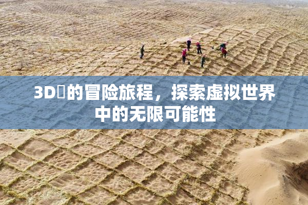 3D姉的冒险旅程，探索虚拟世界中的无限可能性