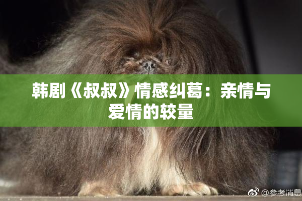 韩剧《叔叔》情感纠葛：亲情与爱情的较量