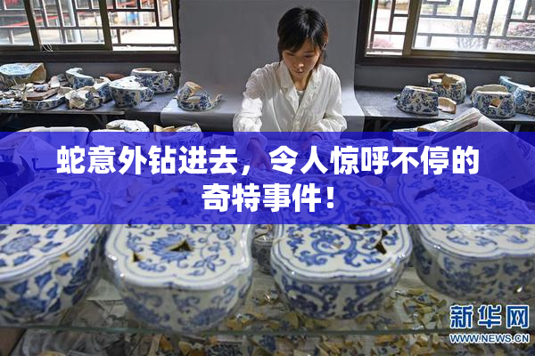 蛇意外钻进去，令人惊呼不停的奇特事件！