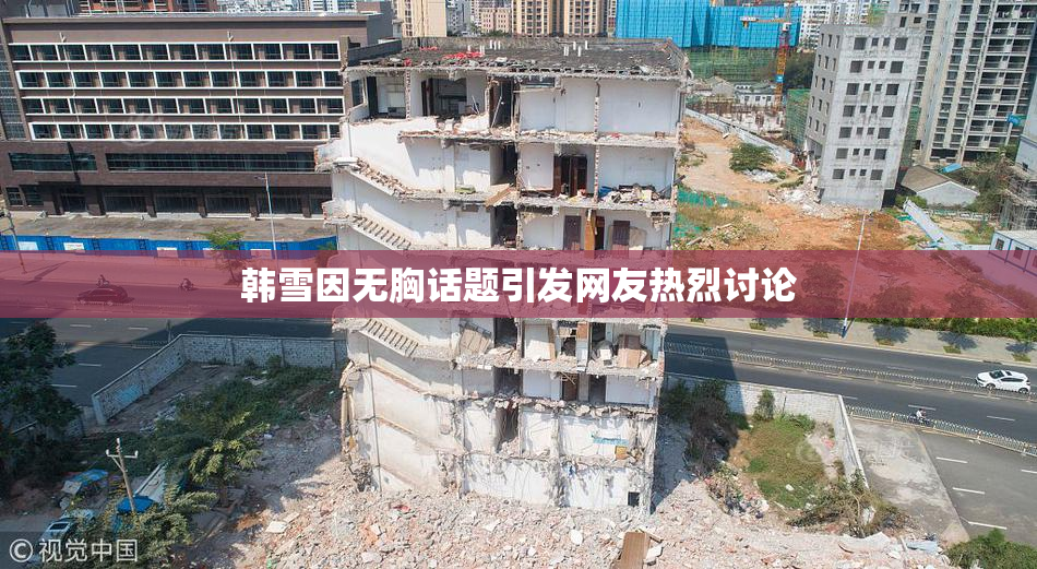 韩雪因无胸话题引发网友热烈讨论
