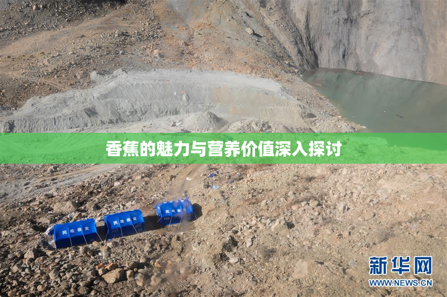 香蕉的魅力与营养价值深入探讨