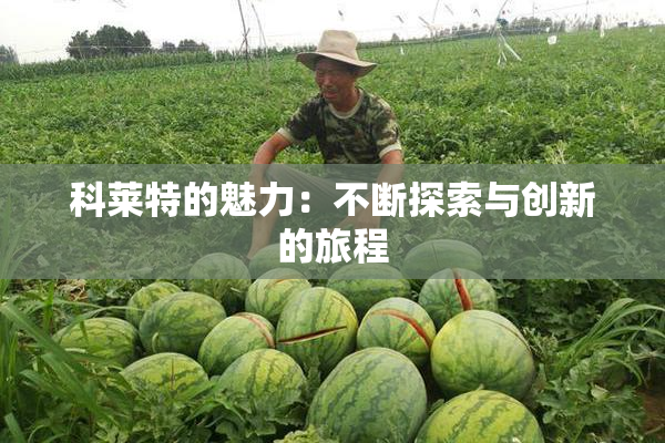 科莱特的魅力：不断探索与创新的旅程