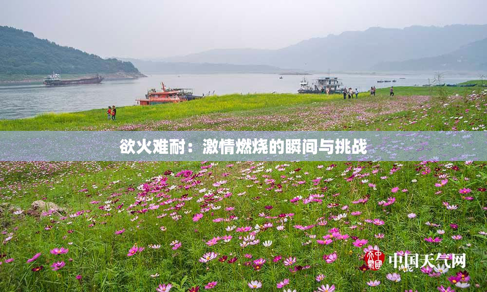 欲火难耐：激情燃烧的瞬间与挑战
