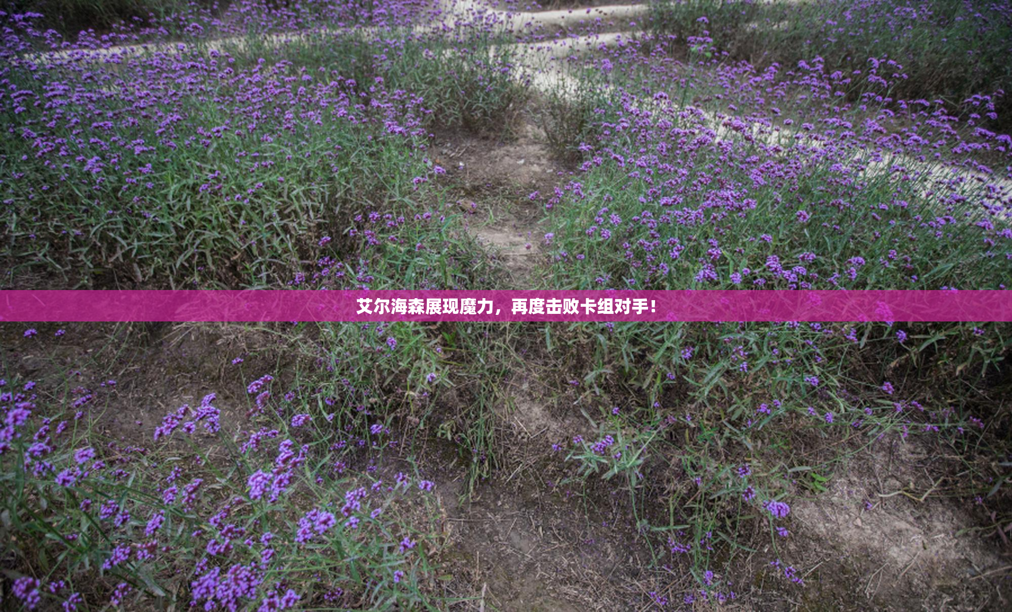 艾尔海森展现魔力，再度击败卡组对手！