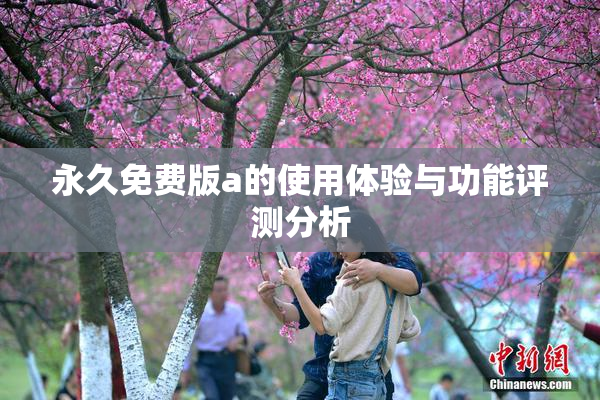 永久免费版a的使用体验与功能评测分析