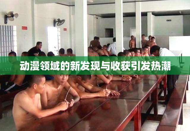 动漫领域的新发现与收获引发热潮