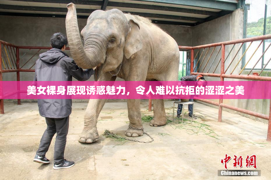 美女裸身展现诱惑魅力，令人难以抗拒的涩涩之美
